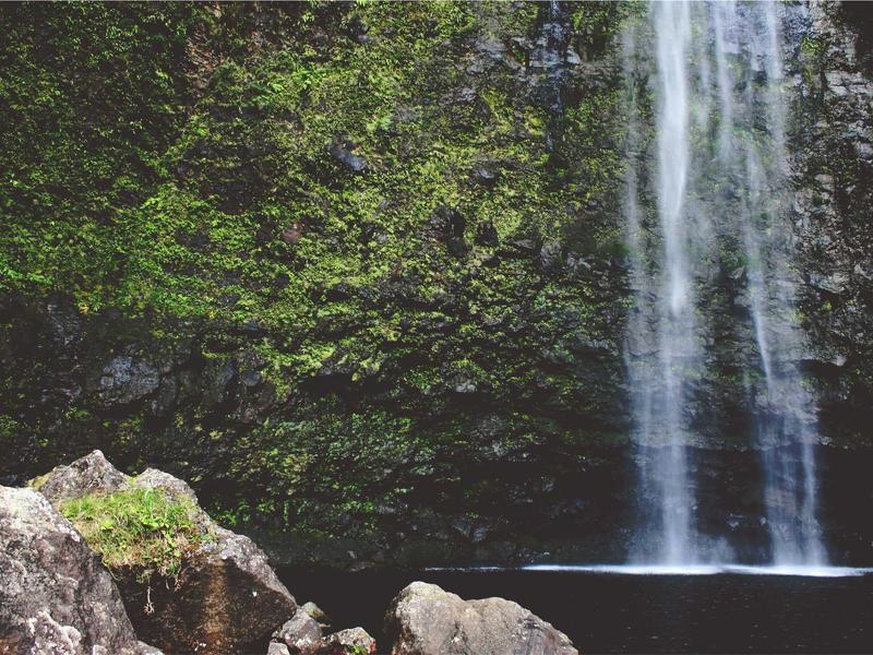 sudoku world championship screenshot 6